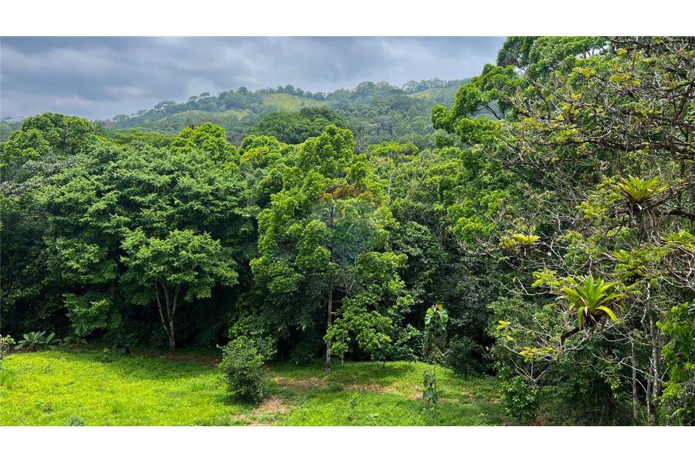 Commercial - Land - Bijagual, Puntarenas, Costa Rica - Caribbean & Central Ameri - 14 - 90168042-14
