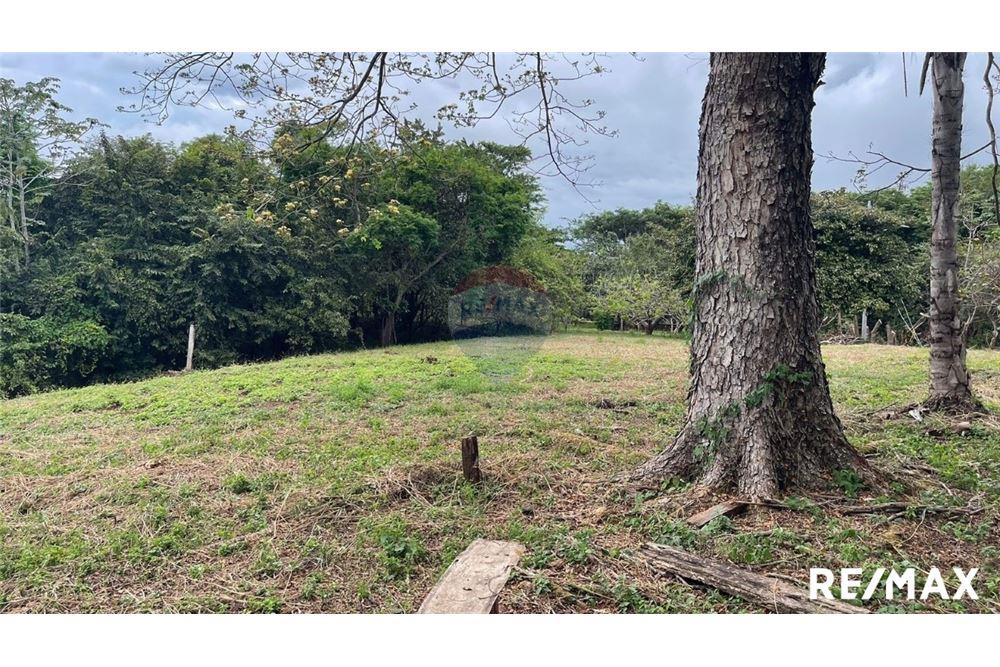 Commercio - Terreno - Puntarenas, Puntarenas - Puntarenas, Costa Rica - Caribbean & Central Ameri - 29 - 90168045-6