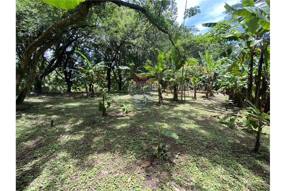 Villa - Te Koop - Manzanillo, Puntarenas - Puntarenas, Costa Rica - 21 - 90110006-43