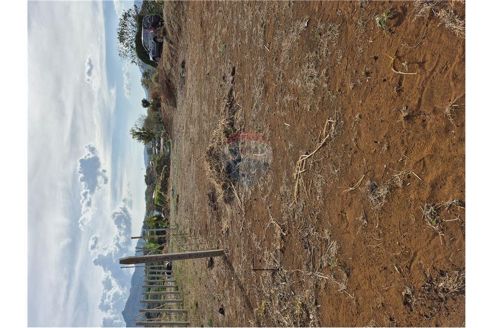 Commercial - Land - Atenas, Alajuela- Atenas, Costa Rica - Caribbean & Central Ameri - 5 - 90128007-167