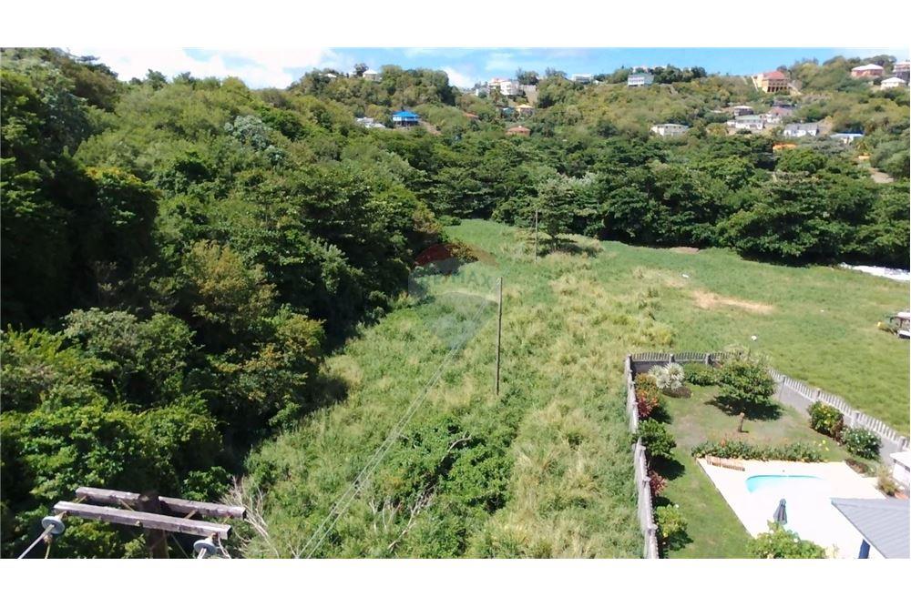 Commercial - Land - Prospect, St Vincent, St Vincent and the Grenadines - Caribbean & Central Ameri - 6 - 90109004-61