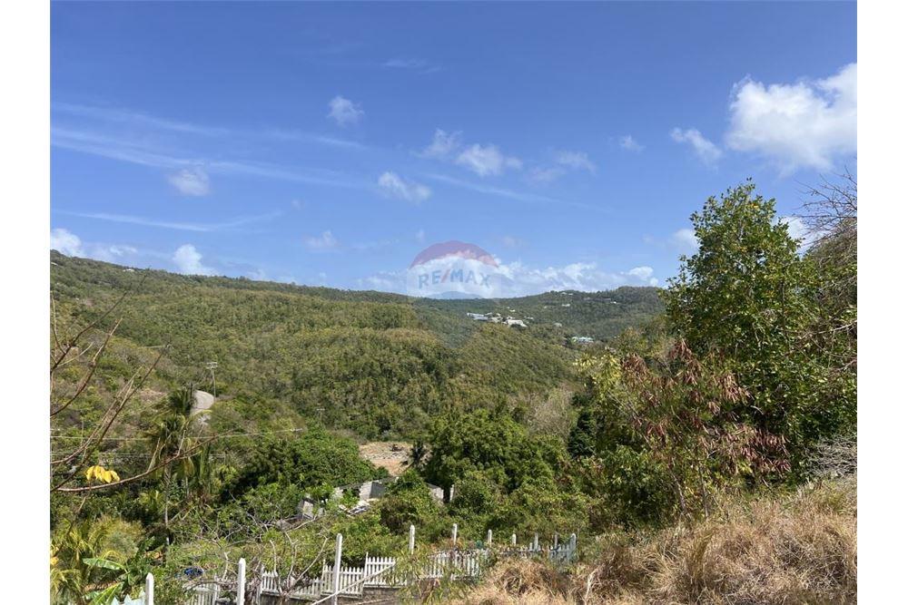 Commercial - Land - Spring, Bequia, St Vincent and the Grenadines - Caribbean & Central Ameri - 4 - 90109004-54