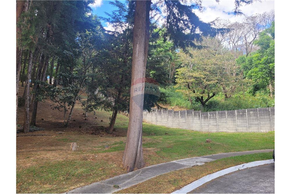 Land - For Sale - Fraijanes, Guatemala, Guatemala - 7 - 902091021-3