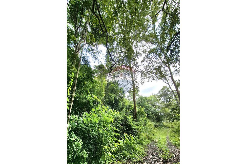 Commercial - Land - Atenas, Alajuela- Atenas, Costa Rica - Caribbean & Central Ameri - 18 - 90128007-183