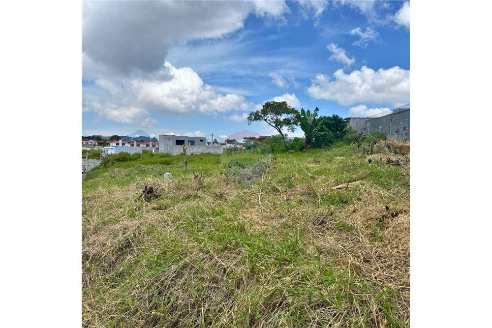 Land - For Sale - San José Pinula, Guatemala, Guatemala - 1 - 902651001-30