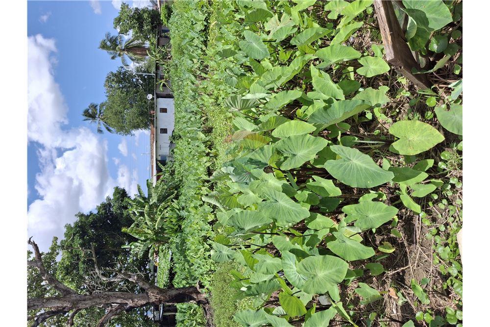 Land - For Sale - Sangre Grande, Saint Andrew, Trinidad and Tobago - 1 - 90155092-95