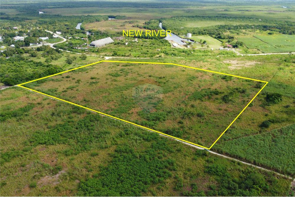 Commercial - Land - Libertad, Corozal District, Belize - Caribbean & Central Ameri - 2 - 901411007-98