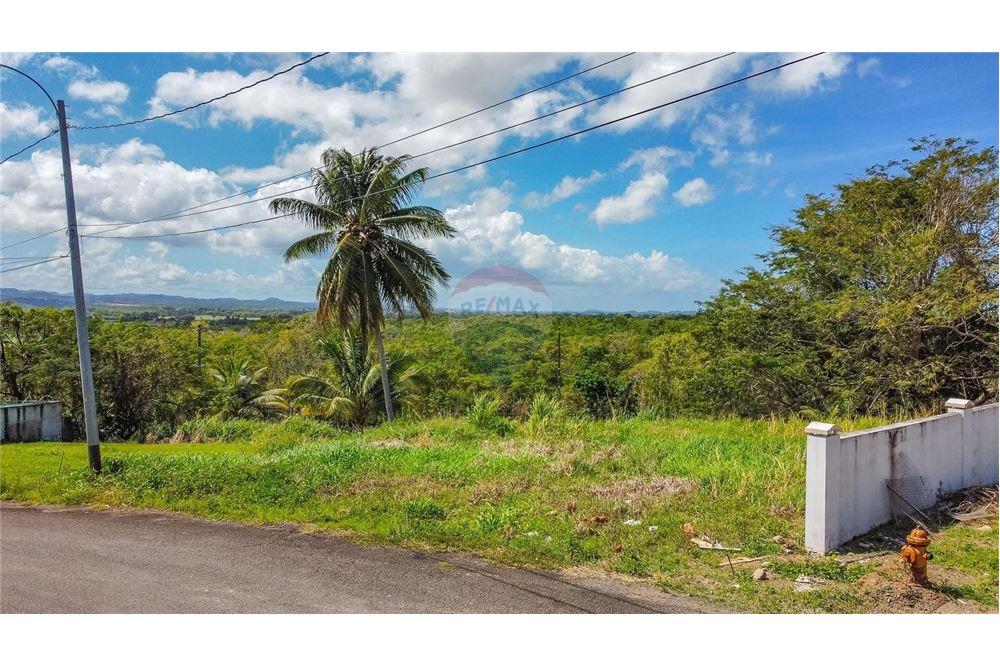 Commercial - Land - Hacienda Las Garzas, Rio Grande, Puerto Rico - Caribbean & Central Ameri - 10 - 902461007-10