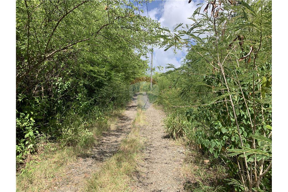 Lote - Venta - Gros Islet, Gros-Islet, St Lucia - 9 - 902071001-213