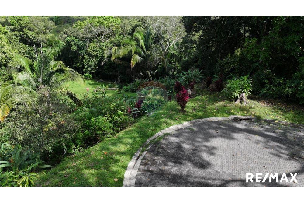 Comercial - Terreno - Parrita, Puntarenas - Parrita, Costa Rica - Caribbean & Central Ameri - 18 - 90168045-21