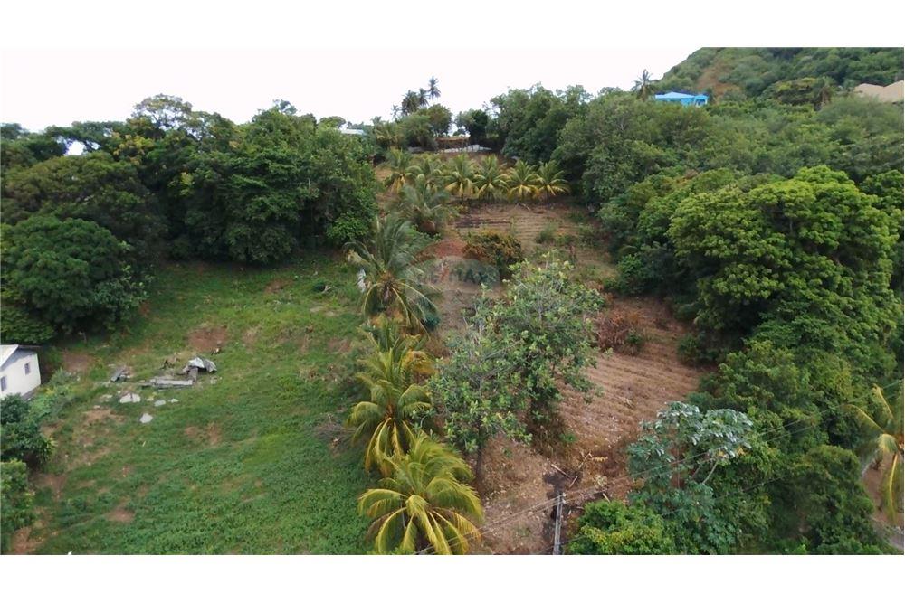 Comercial - Terrenos - Stubbs, St Vincent, St Vincent and the Grenadines - Caribbean & Central Ameri - 8 - 90109004-55