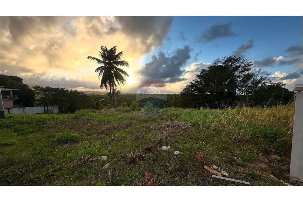 Commercial - Land - Hacienda Las Garzas, Rio Grande, Puerto Rico - Caribbean & Central Ameri - 2 - 902461007-10