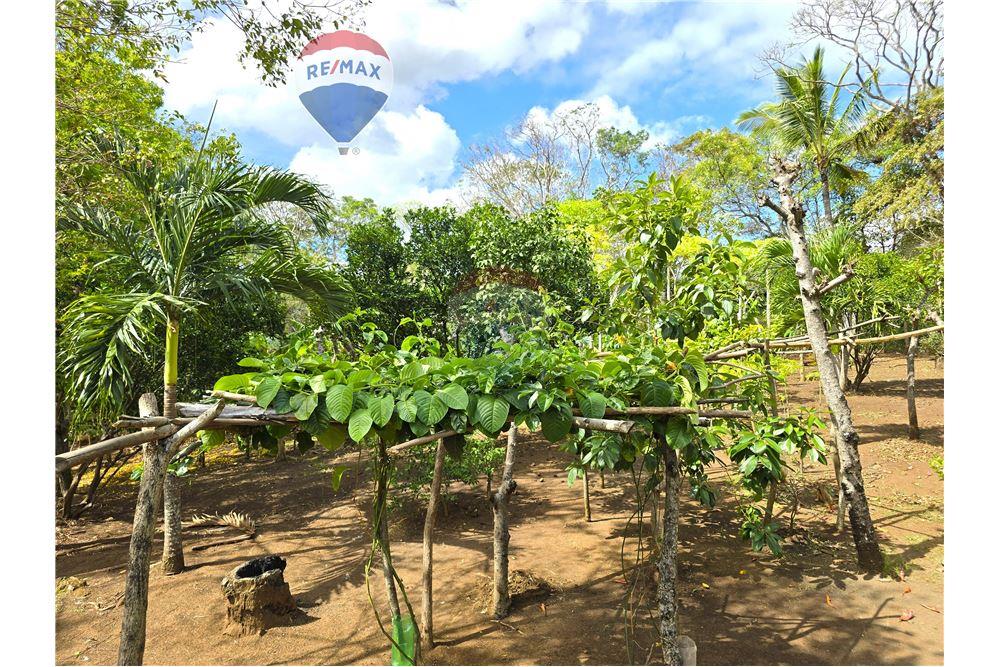 Commercial - Land - Nandaime, Granada, Nicaragua - Caribbean & Central Ameri - 13 - 90119010-73