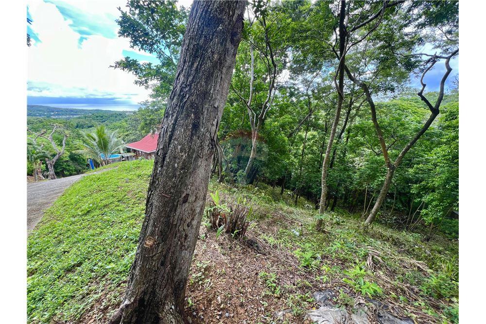 Grondstuk - Te Koop - Roatan, Bay Islands, Honduras - 3 - 90143009-441