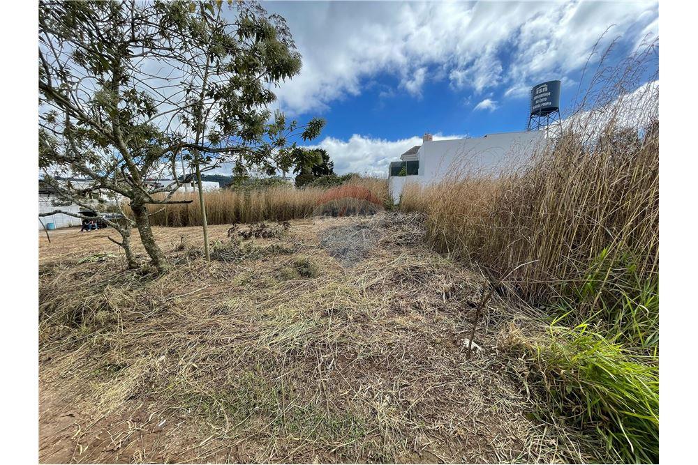 Land - For Sale - Acatán, Guatemala, Guatemala - 29 - 902091021-4