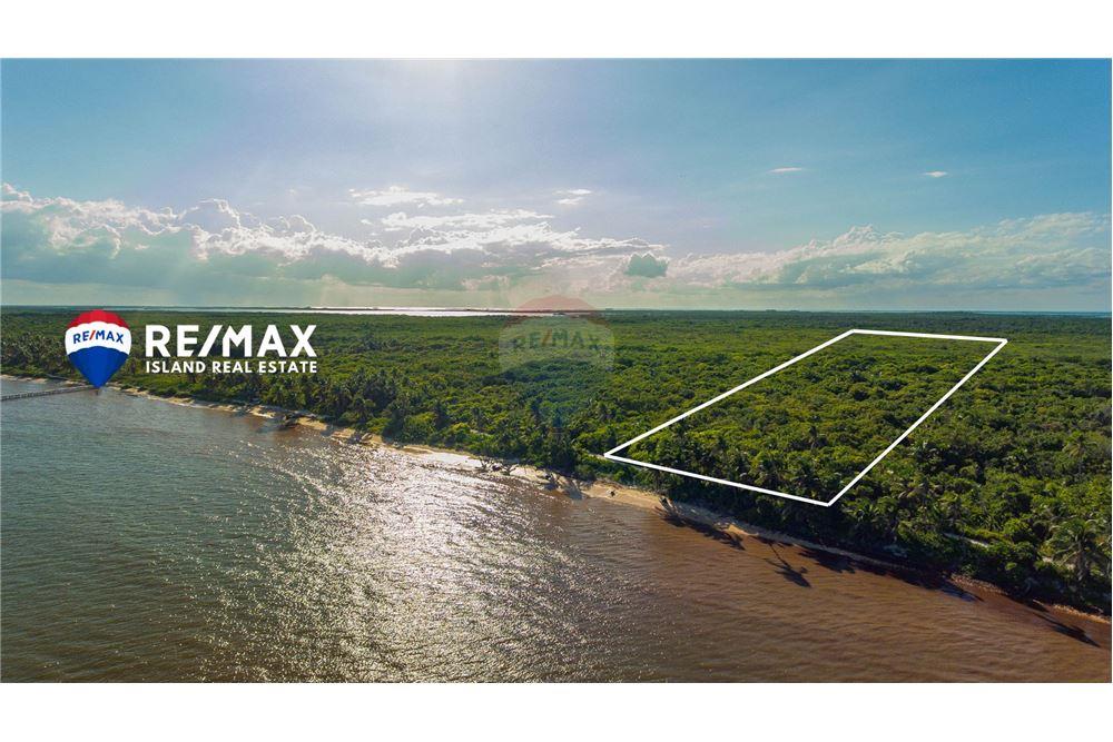 Commercial - Land - Ambergris Caye, Ambergris Caye, Belize - Caribbean & Central Ameri - 1 - 90135015-94