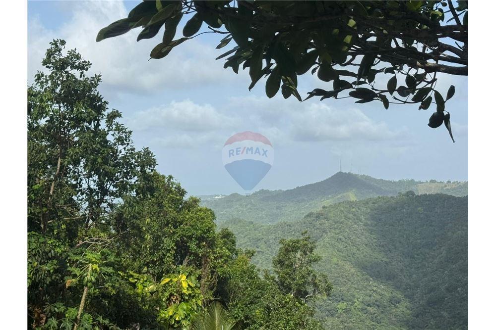 Lote - Venta - Bayamon, Bayamón, Puerto Rico - 1 - 90102070-4