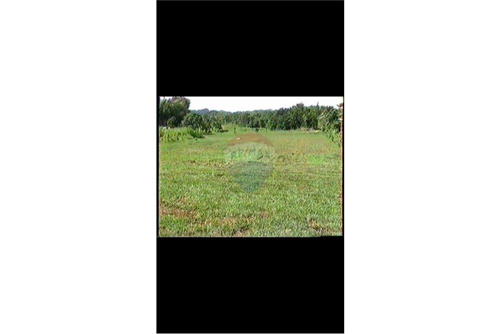Land - For Sale - Dorado, Dorado, Puerto Rico - 2 - 90102025-331
