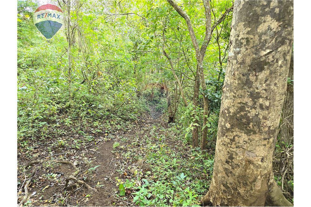 Commercial - Land - Nandaime, Granada, Nicaragua - Caribbean & Central Ameri - 8 - 90119010-73