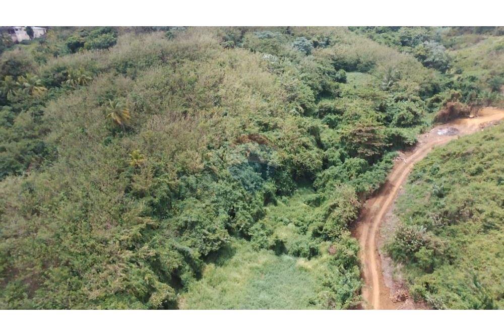 Comercial - Terrenos - Argyle, St Vincent, St Vincent and the Grenadines - Caribbean & Central Ameri - 8 - 90109001-309