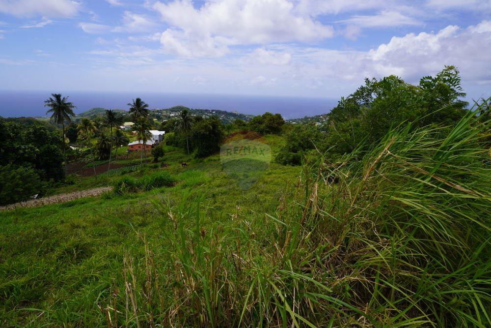 商业 - 土地 - Belmont, St Vincent, St Vincent and the Grenadines - Caribbean & Central Ameri - 14 - 90109001-315