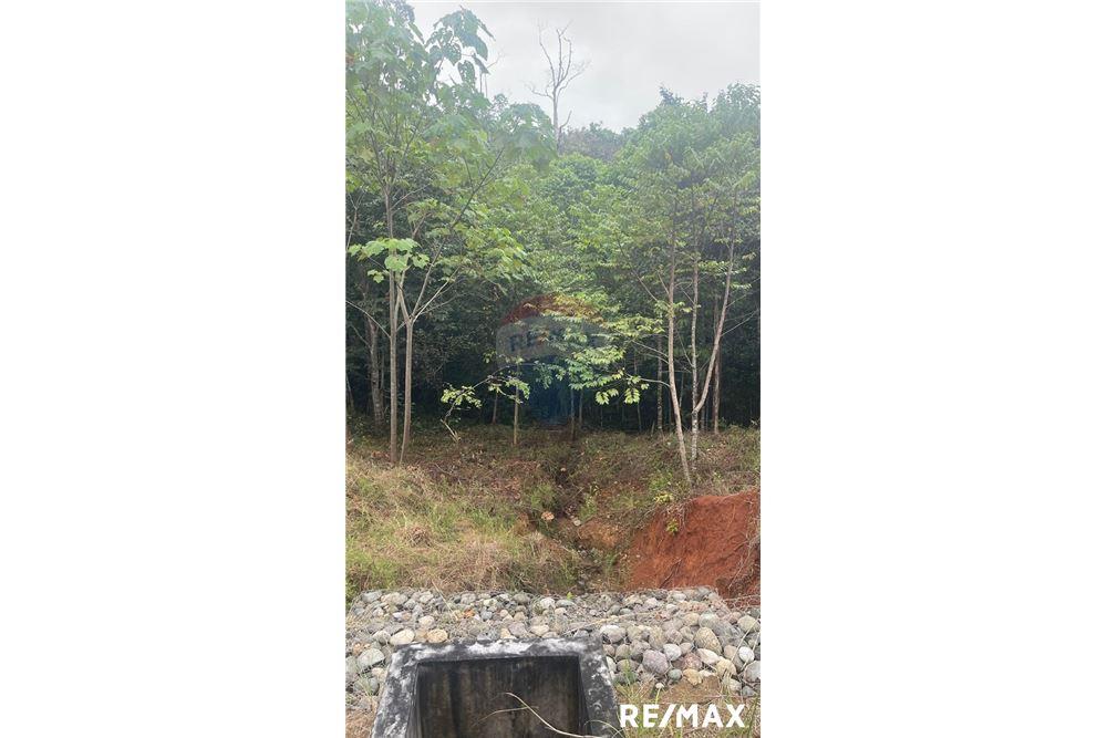 商业 - 土地 - Jaco - Playa Hermosa, Puntarenas- Garabito, 哥斯达黎加 - Caribbean & Central Ameri - 9 - 90168045-18