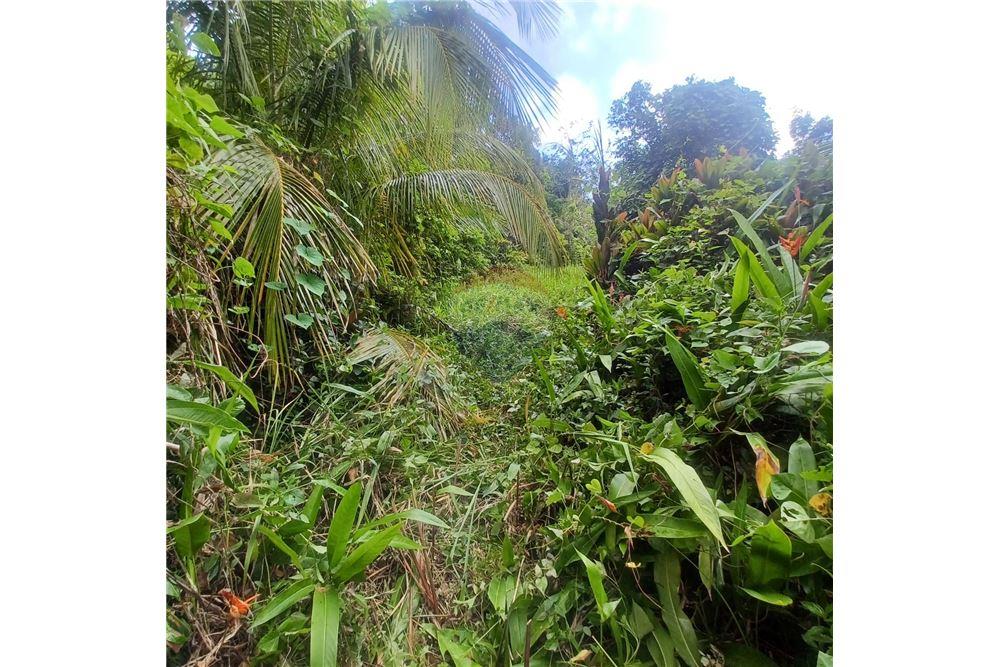 Lote - Venta - Bayamon, Bayamón, Puerto Rico - 6 - 90102070-4