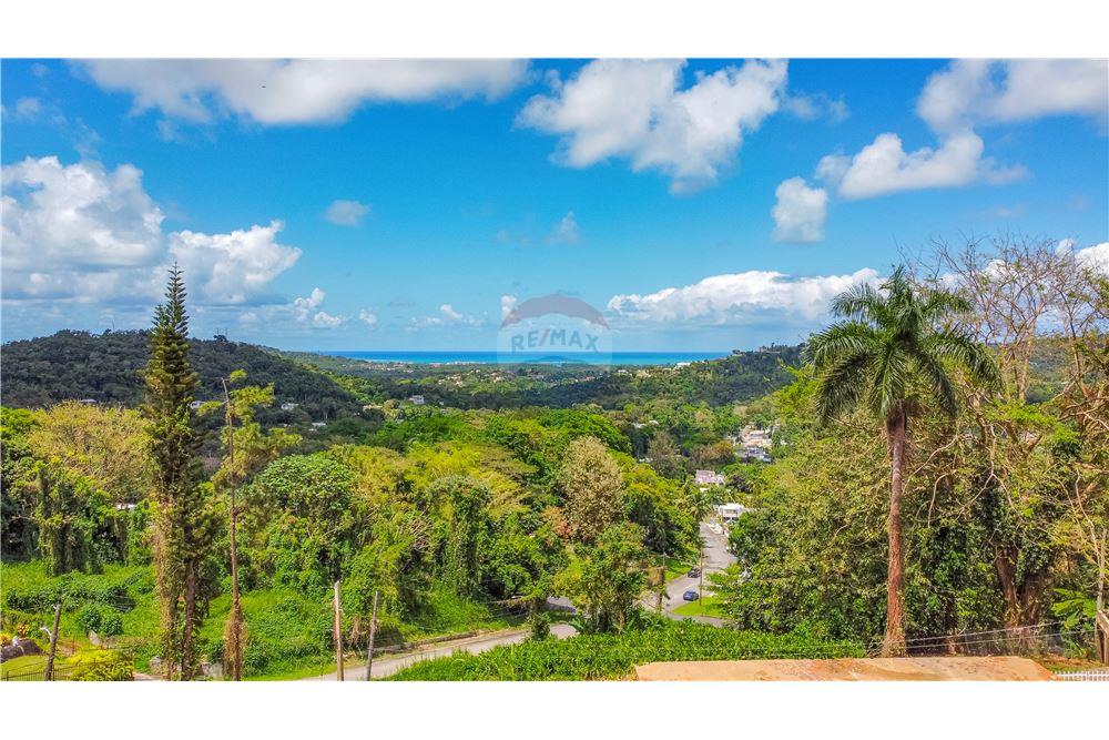 Residential - Villa - Rio Grande, Rio Grande, Puerto Rico - Caribbean & Central Ameri - 3 - 902461001-89