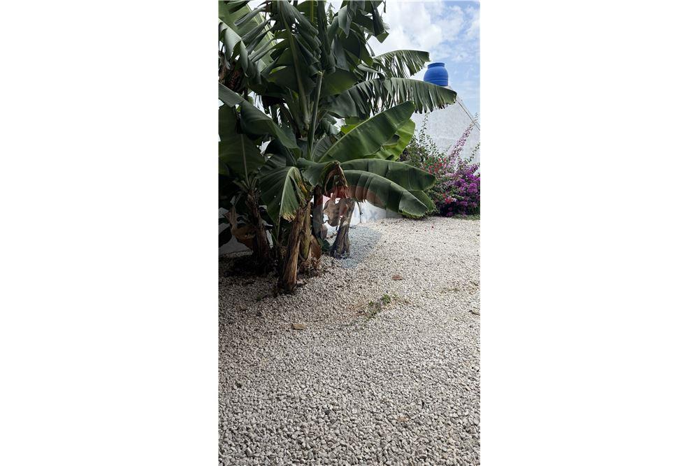 Residential - Villa - Atenas, Alajuela- Atenas, Costa Rica - Caribbean & Central Ameri - 44 - 90128007-175