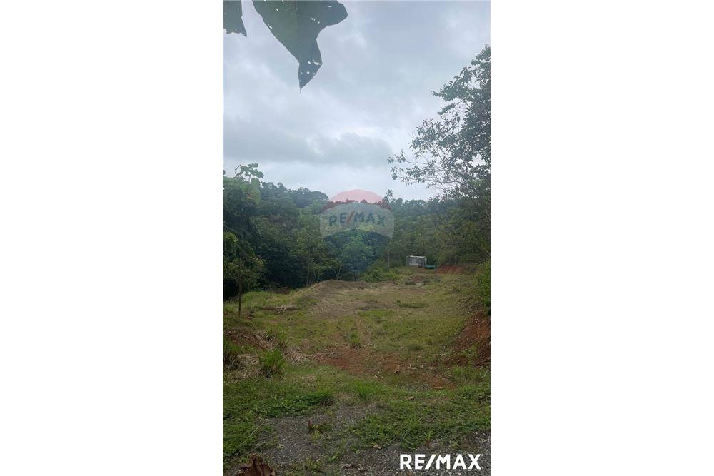 商业 - 土地 - Jaco - Playa Hermosa, Puntarenas- Garabito, 哥斯达黎加 - Caribbean & Central Ameri - 3 - 90168045-18