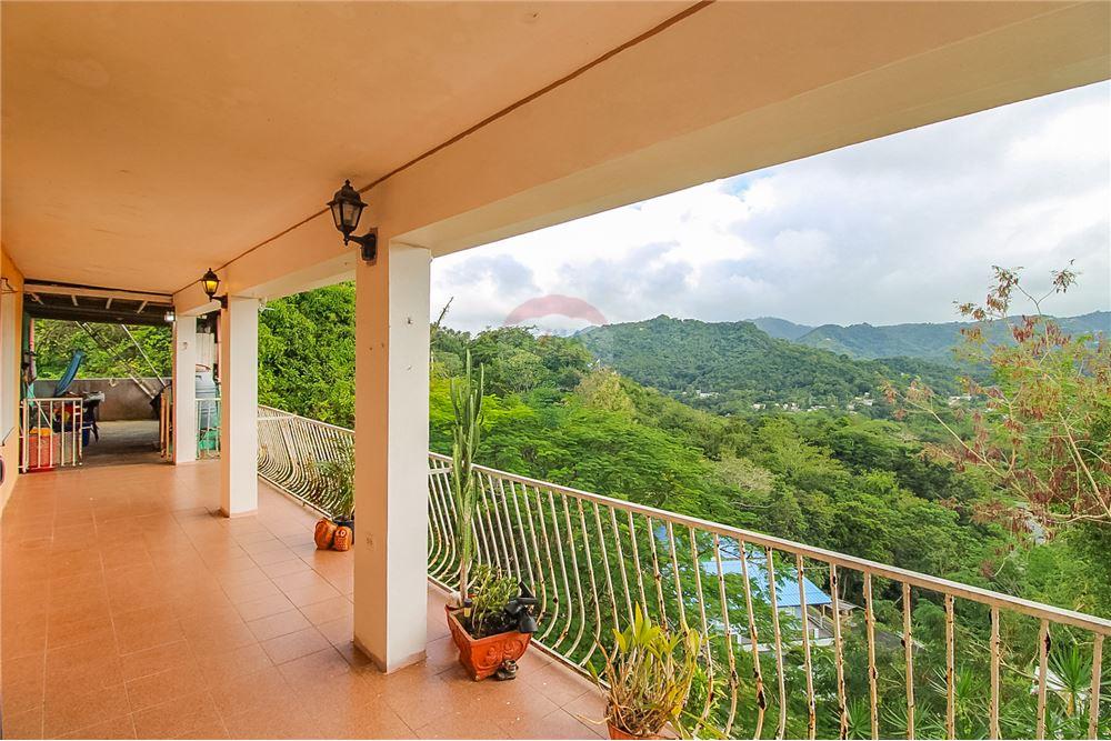 Residential - Villa - Naranjito, Naranjito, Puerto Rico - Caribbean & Central Ameri - 20 - 902461001-93