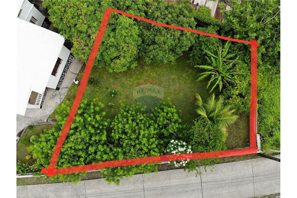 Residential - Villa - Port Elizabeth, Bequia, St Vincent and the Grenadines - Caribbean & Central Ameri - 10 - 90109001-328