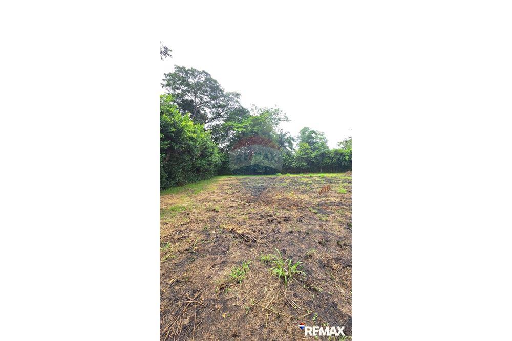 Commercial - Land - Jaco - Playa Hermosa, Puntarenas- Garabito, Costa Rica - Caribbean & Central Ameri - 16 - 90168005-700
