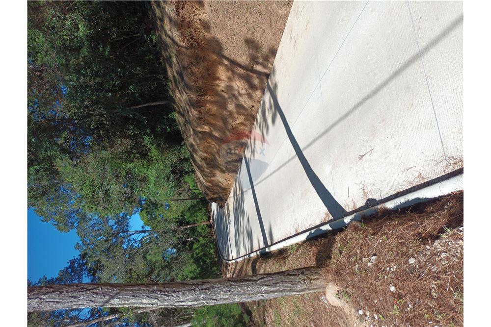 Land - For Sale - San Raimundo, Guatemala, Guatemala - 4 - 902691016-8