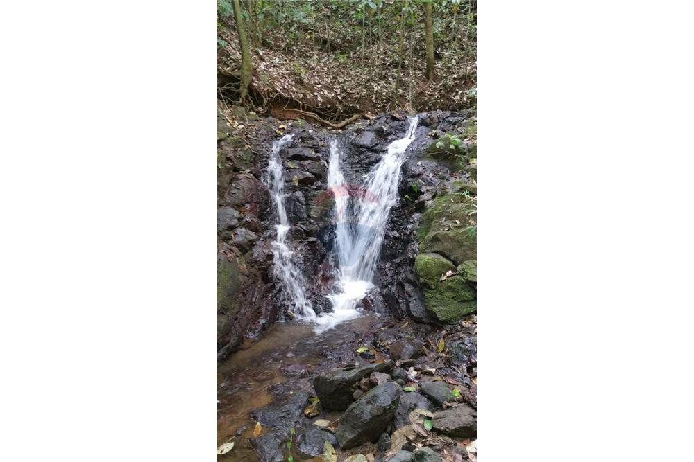 Surface commerciale - Autre terrain - San José, San José, Costa Rica - Caribbean & Central Ameri - 25 - 90168030-68