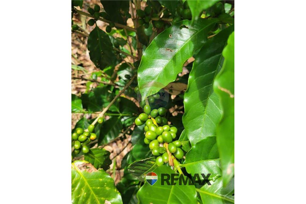 Land - For Sale - San Martin, San Salvador, El Salvador - 3 - 902501008-21