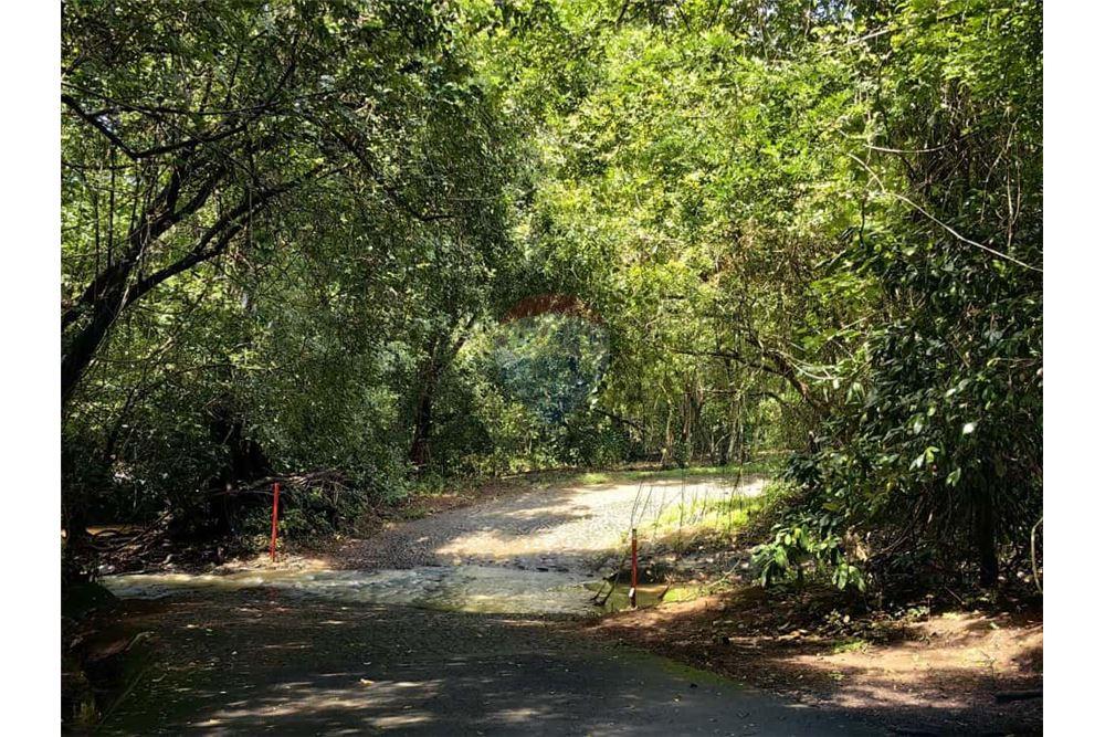 Land - For Sale - Orotina, Alajuela- Orotina, Costa Rica - 8 - 902701010-1