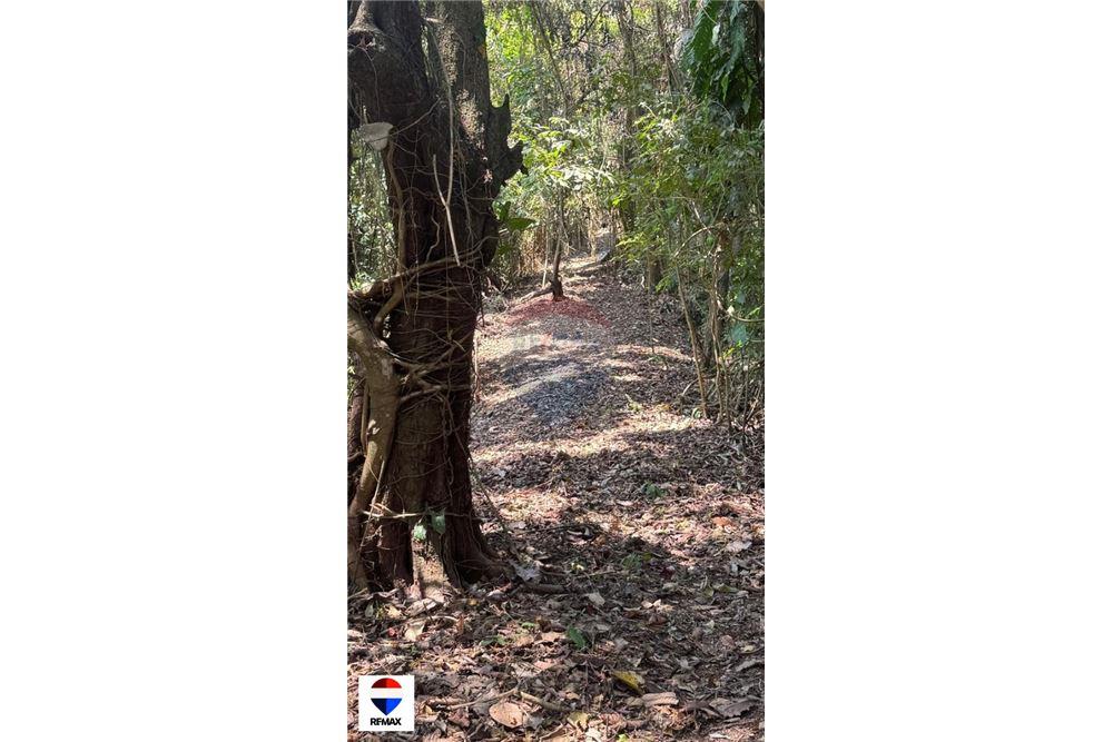 Comercial - Terrenos - Tarcoles - Quebrada Ganado, Puntarenas- Garabito, Costa Rica - Caribbean & Central Ameri - 17 - 90168030-59