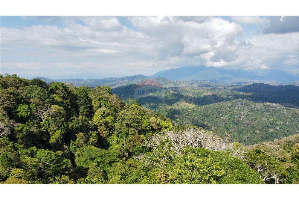 Surface commerciale - Autre terrain - San José, San José, Costa Rica - Caribbean & Central Ameri - 13 - 90168030-68