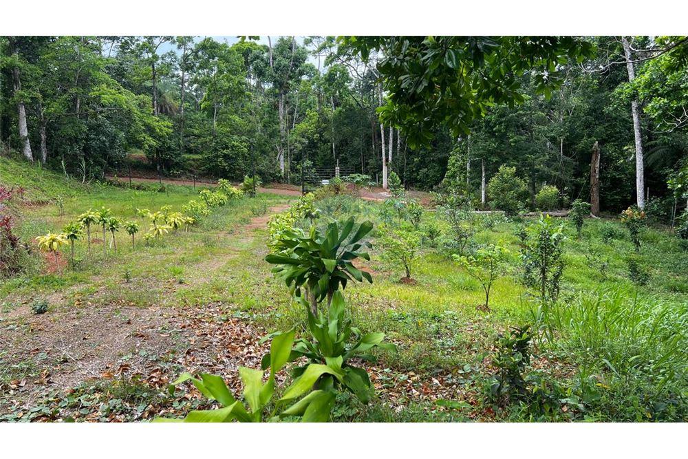 Commercial - Land - Bijagual, Puntarenas, Costa Rica - Caribbean & Central Ameri - 2 - 90168042-14