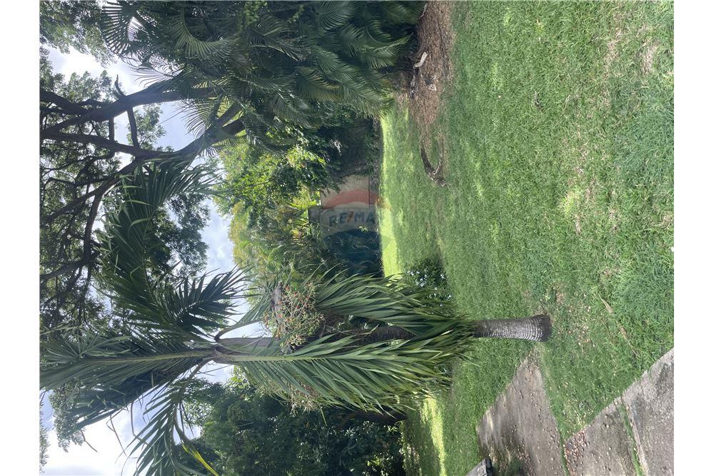 Residential - Villa - Gros Islet, Gros-Islet, St Lucia - Caribbean & Central Ameri - 30 - 902071001-218