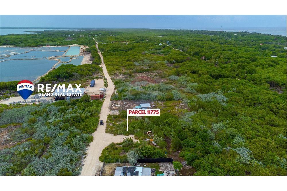 Commercial - Land - San Pedro, Ambergris Caye, Belize - Caribbean & Central Ameri - 11 - 90135017-27