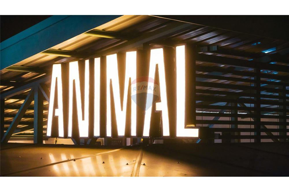 Commercial - Commercial/Retail - Jaco - Playa Hermosa, Puntarenas- Garabito, Costa Rica - Caribbean & Central Ameri - 8 - 90168024-55