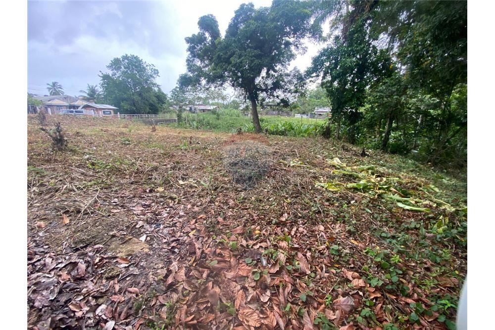 Grondstuk - Te Koop - Sangre Grande, Saint Andrew, Trinidad and Tobago - 5 - 90155109-184