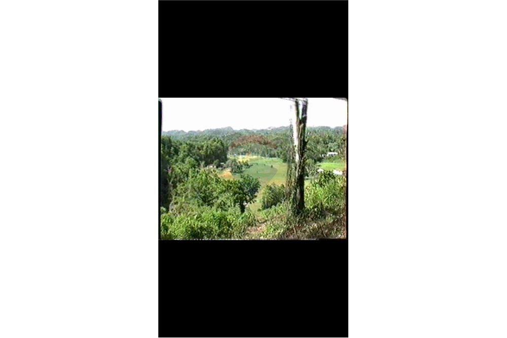 Land - For Sale - Dorado, Dorado, Puerto Rico - 12 - 90102025-331