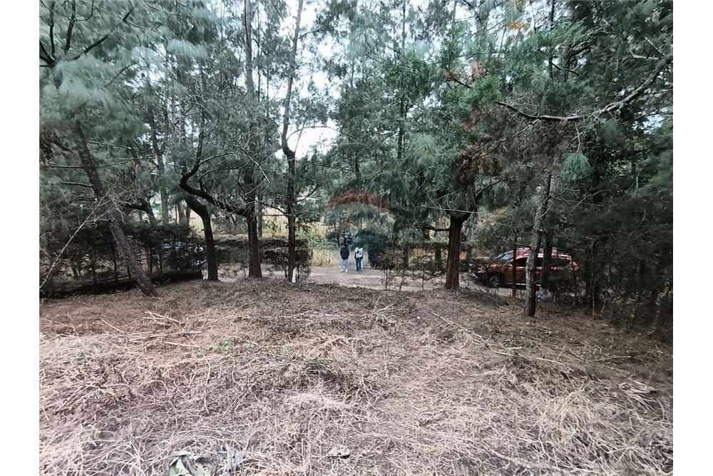 Land - For Sale - Sumpango, Sacatepéquez, Guatemala - 1 - 90129016-22