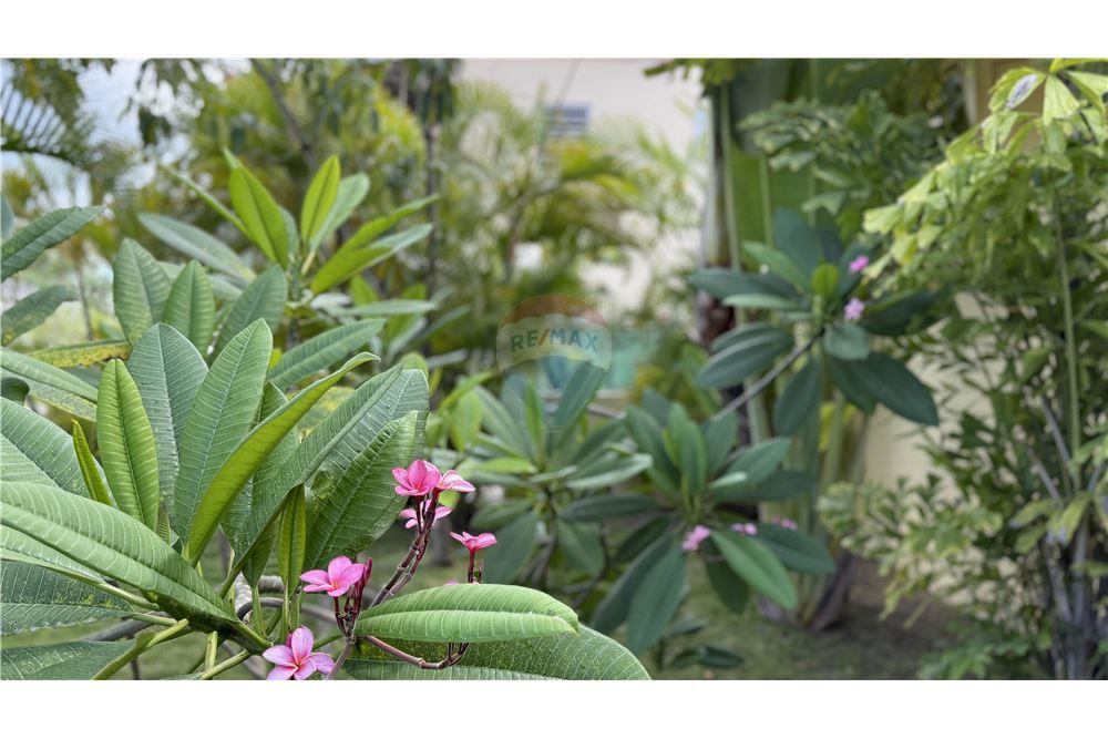 Villa - Te Koop - Bolands, Parish of Saint Mary, Antigua and Barbuda - 2 - 902121001-45