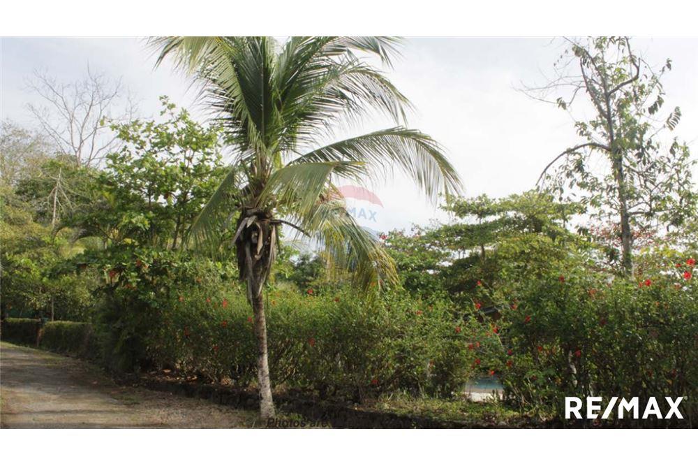 Residenziale - Casa Multifamiliare - Jaco - Playa Hermosa, Puntarenas- Garabito, Costa Rica - Caribbean & Central Ameri - 7 - 90168045-8