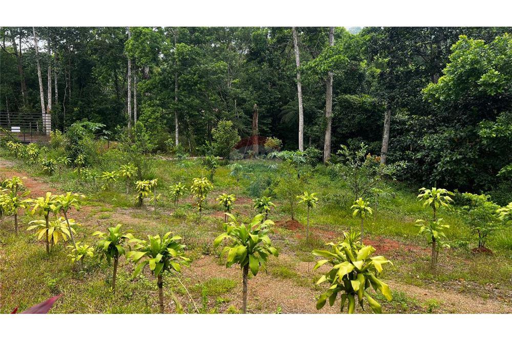 Commercial - Land - Bijagual, Puntarenas, Costa Rica - Caribbean & Central Ameri - 5 - 90168042-14