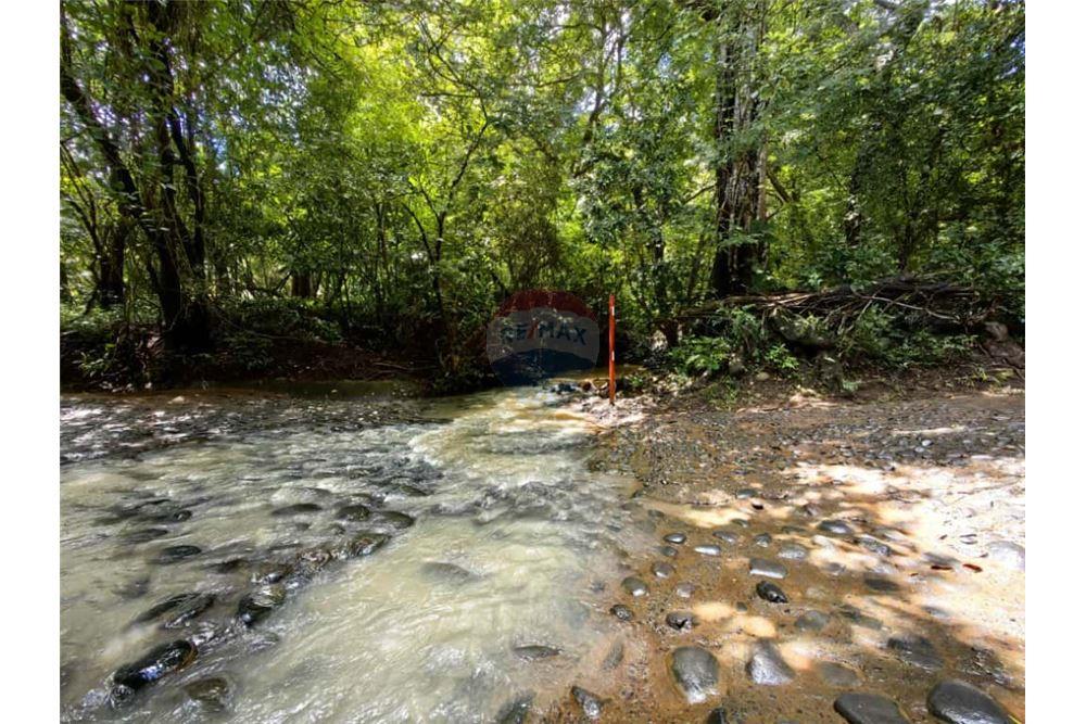 Land - For Sale - Orotina, Alajuela- Orotina, Costa Rica - 11 - 902701010-1